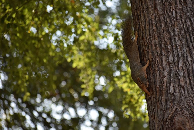 但同時也肩 但同時也肩