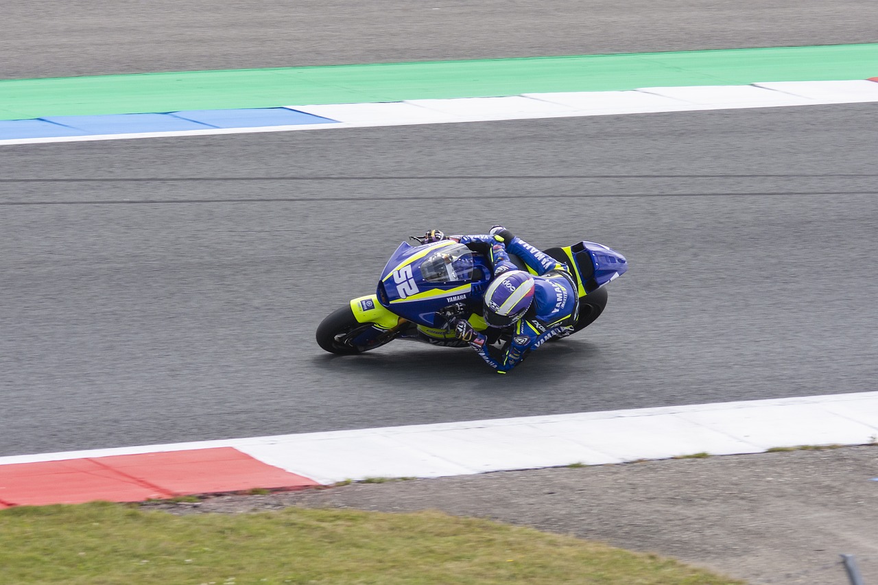 去犯下的错 去犯下的错