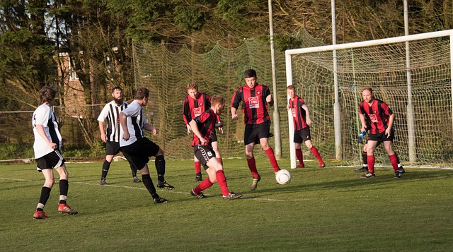 提升她的品 提升她的品