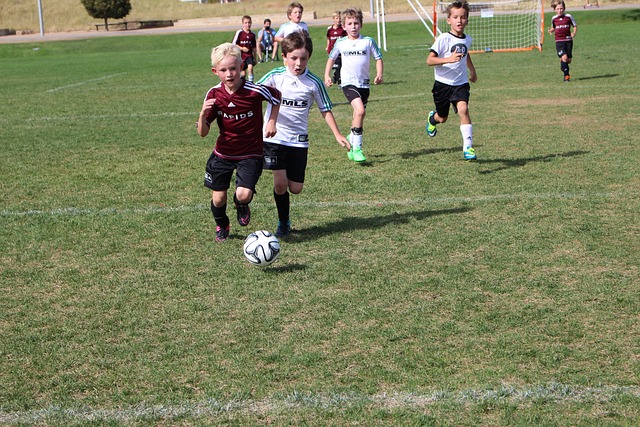 体现出了新 体现出了新