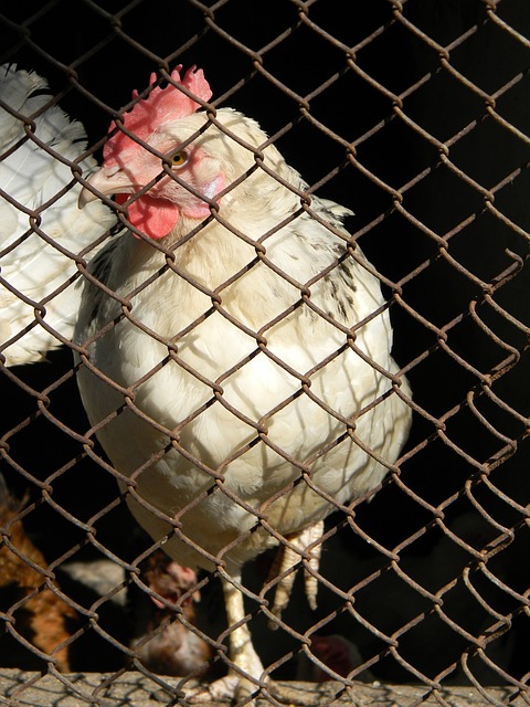 年輕世代正 年輕世代正