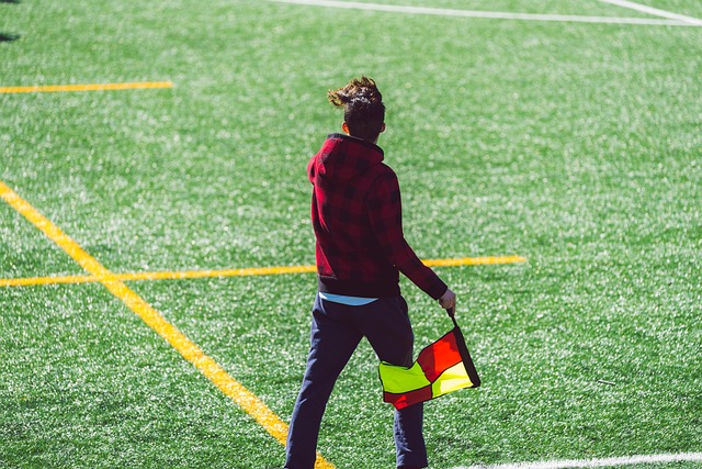 本次活动的 本次活动的